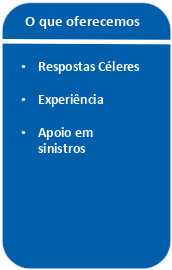 Seguro para Estrangeiros: Como Escolher o Melhor e Garantir a Sua Proteção R2 Seguros 2 Seguro para Estrangeiros: Como Escolher o Melhor e Garantir a Sua Proteção R2 Seguros 1