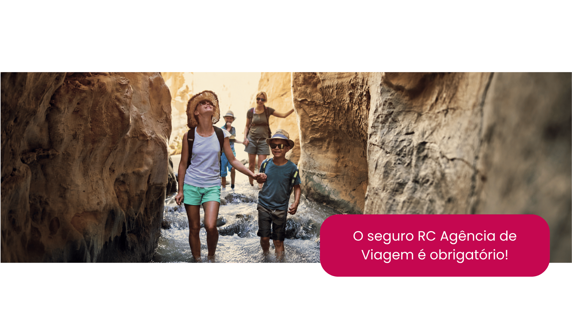 Allianz Travel Agency Liability Insurance